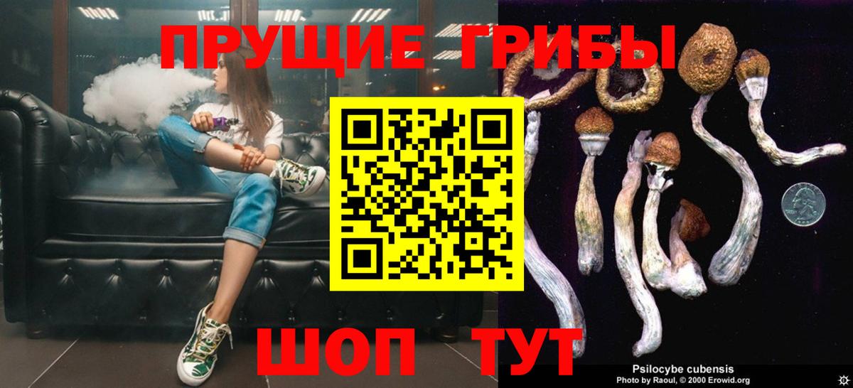 Псилоцибиновые грибы прущие грибы Медногорск